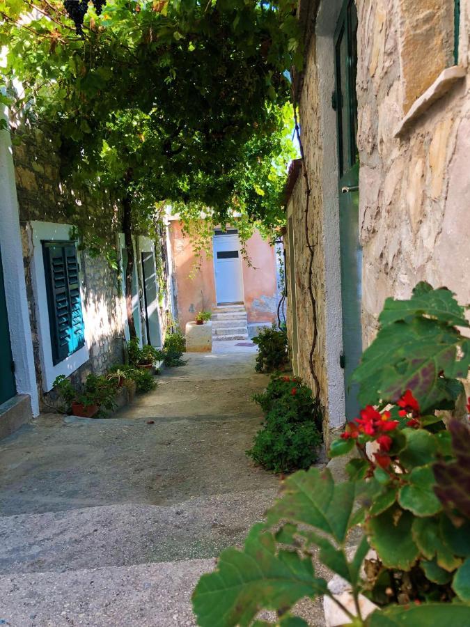 Villa Strma Primošten Exteriér fotografie
